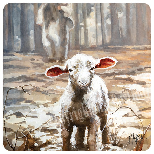 Never Lost | coaster