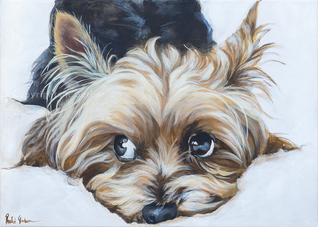 Swart Jassie | Canvas Prints