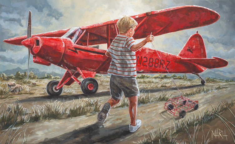 Smit Vliegtuig | Canvas Prints