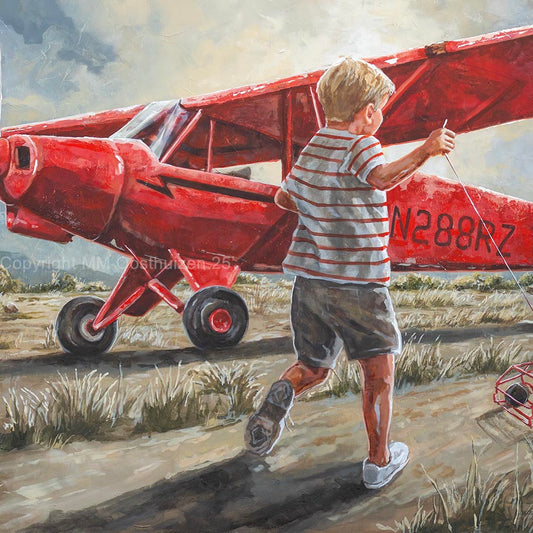 Smit Vliegtuig | Canvas Prints