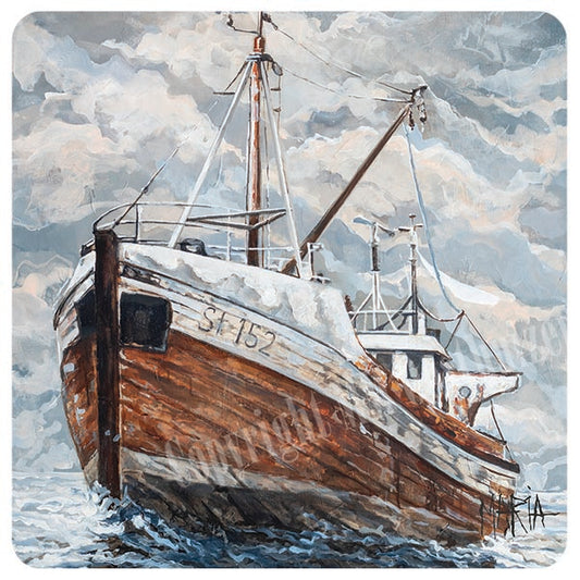 Steady in the storm | coaster