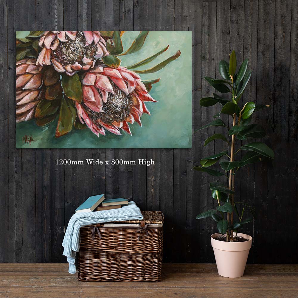 Shades of Blush | Canvas Prints