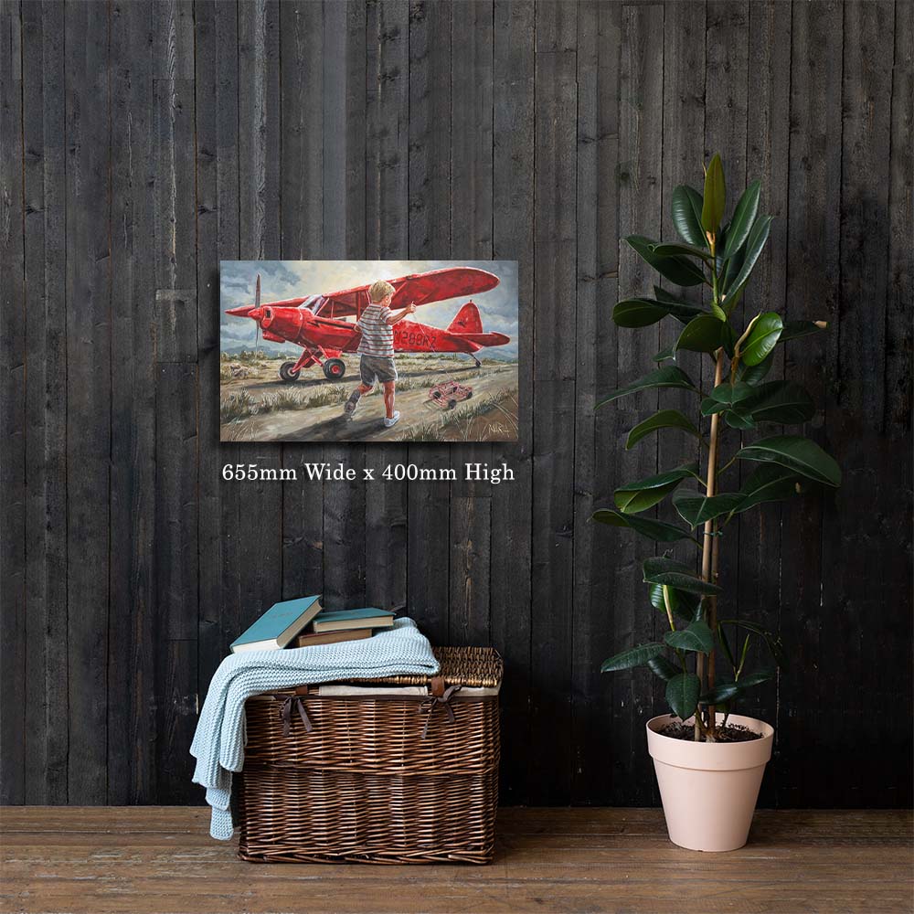 Smit Vliegtuig | Canvas Prints