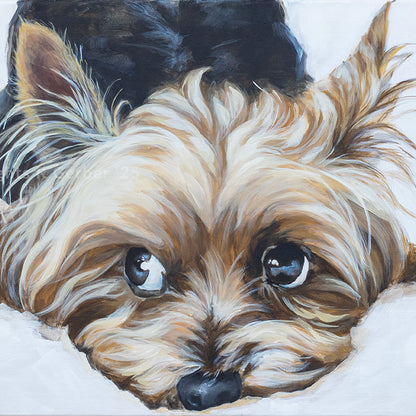 Swart Jassie