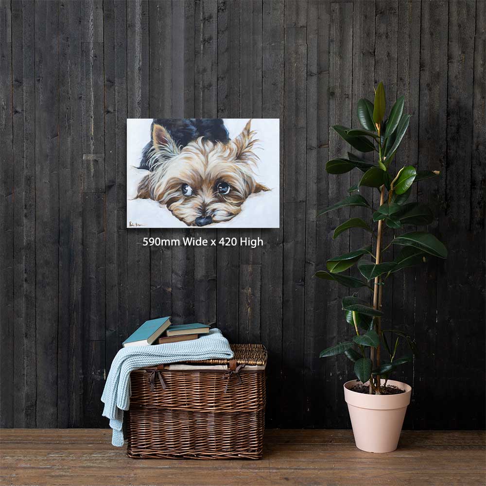 Swart Jassie | Canvas Prints