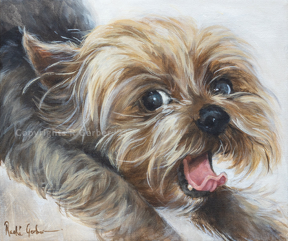 Laaste ou gapie | Prints