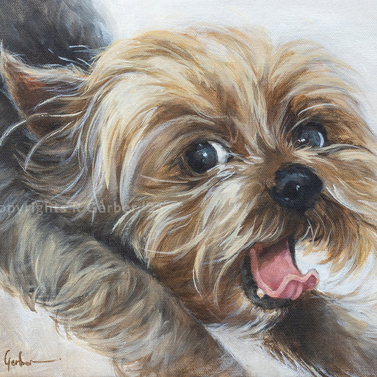 Laaste ou gapie | Prints