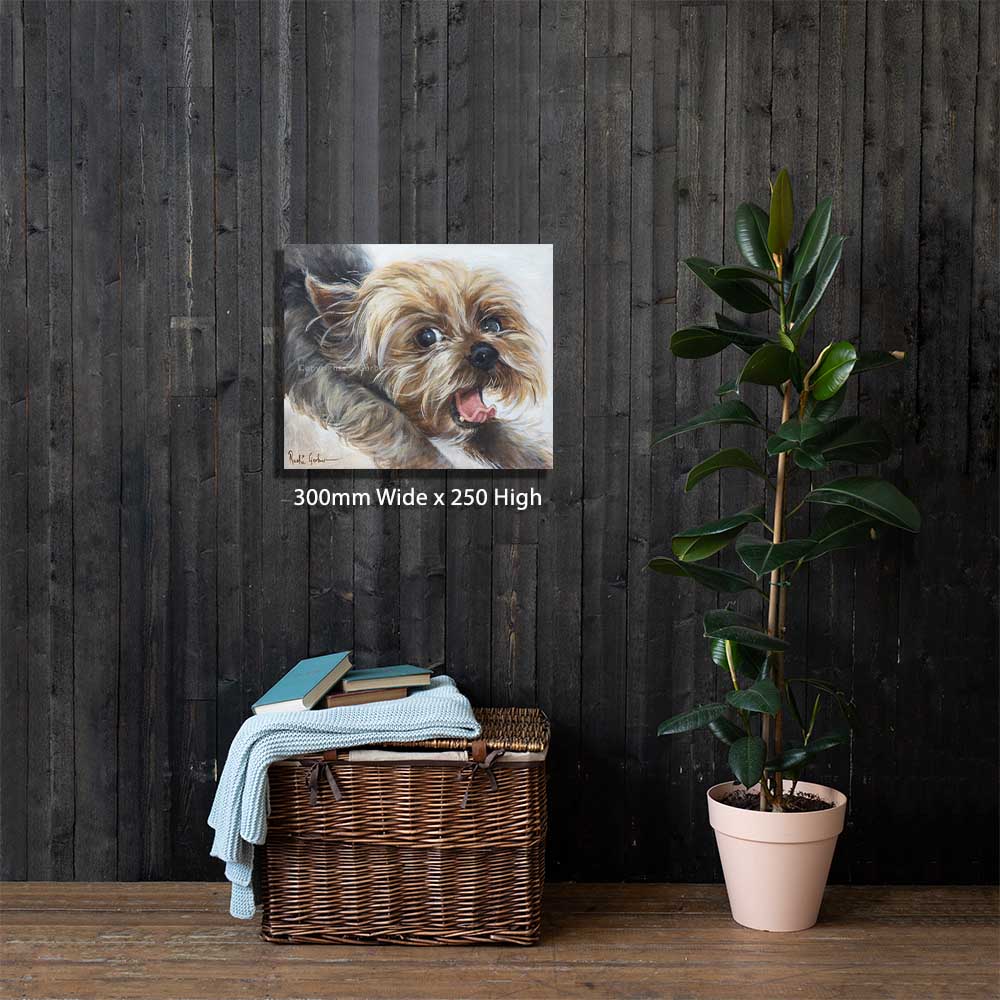 Laaste ou gapie | Prints