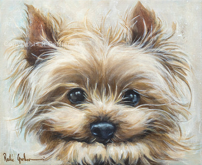 Snorkie | Prints