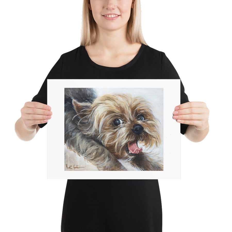 Laaste ou gapie | Prints