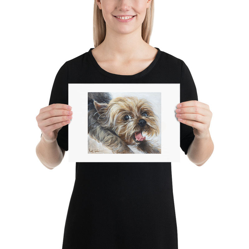 Laaste ou gapie | Prints