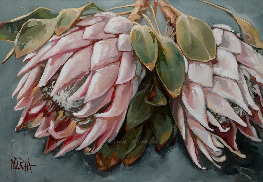 Koningsblomme | Canvas Prints