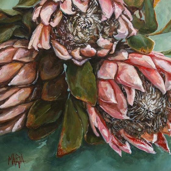 Shades of Blush | A3 Paper Print