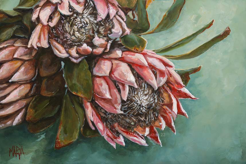 Shades of Blush | A3 Paper Print