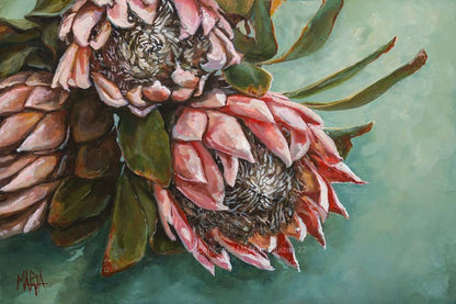 Shades of Blush | A3 Paper Print