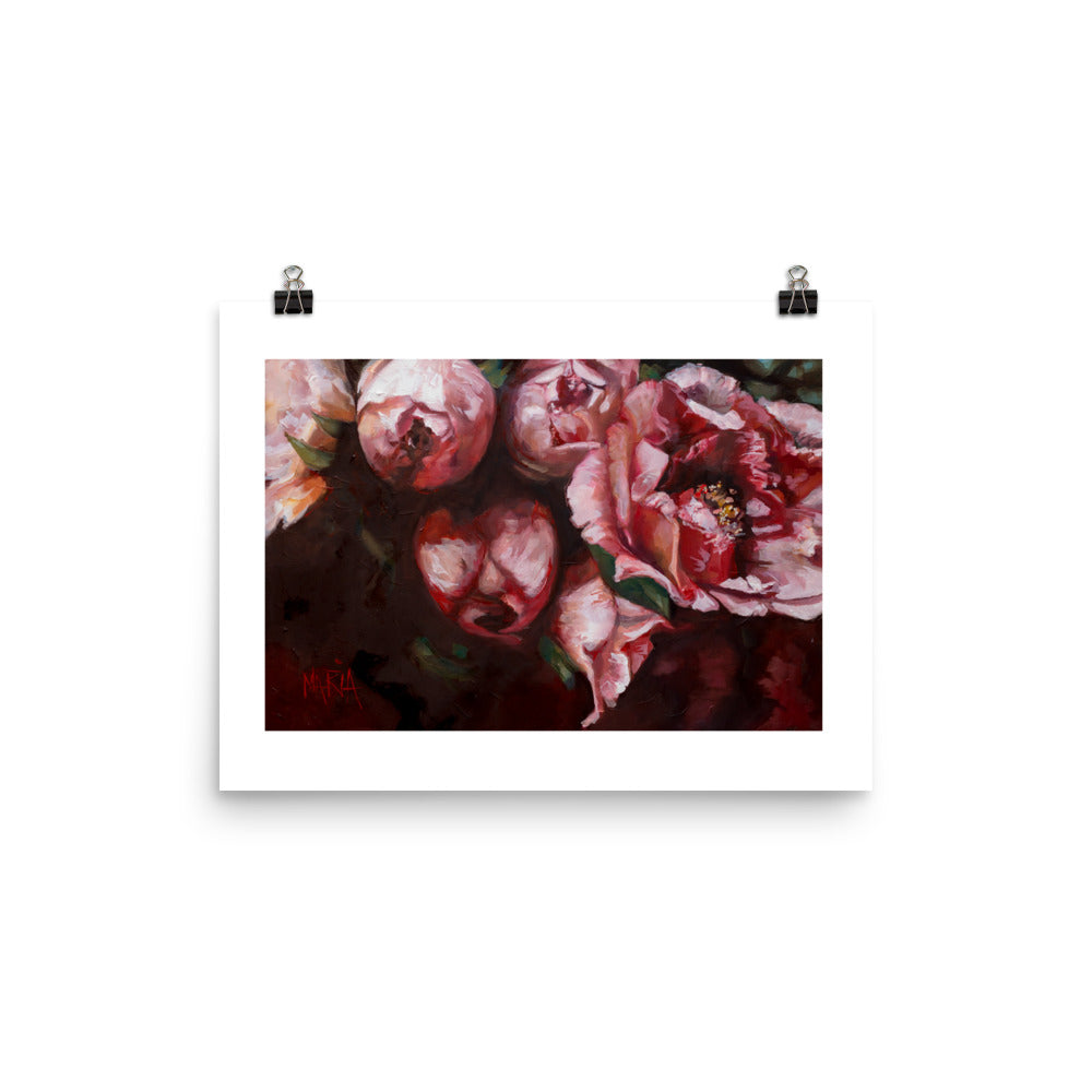 Crimson in bloom | A3 Paper Print