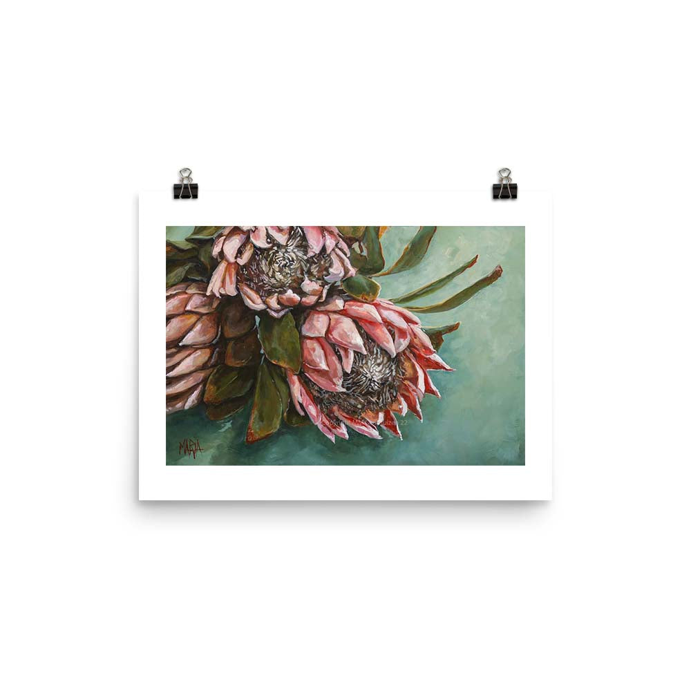 Shades of Blush | A3 Paper Print
