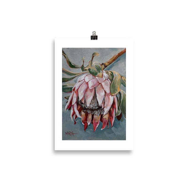 Pale pink beauty | A4 Paper Print