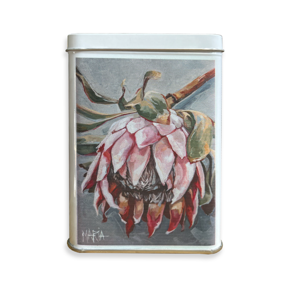 Pale Pink Beauty | Kitchen Tin